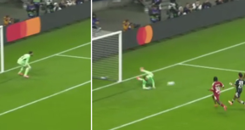 ეს რა სეივი იყო - მამარდას საოცარი მოეგრიება პირველივე წუთებზე