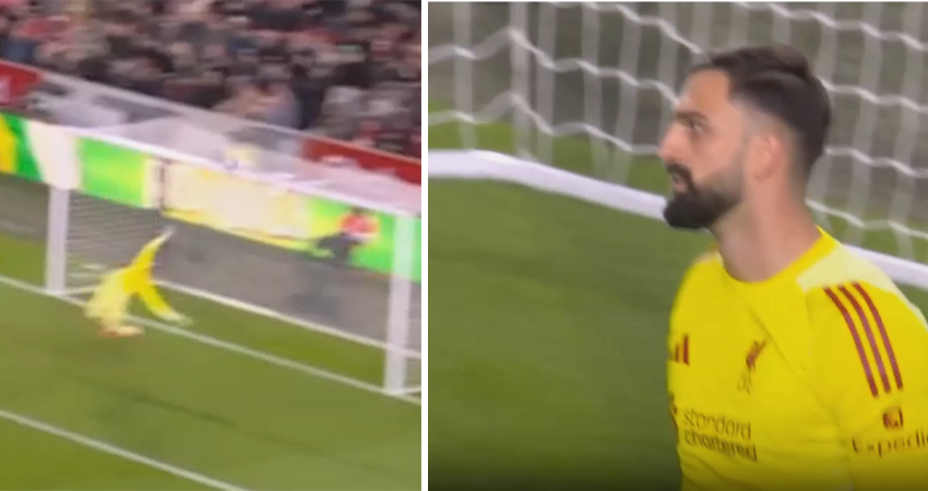 გაფრინდა და კრიტიკოსები დაადუმა - მამარდას საოცარი სეივი